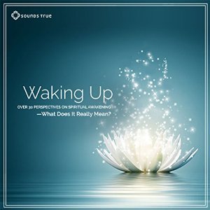 Waking Up book cover