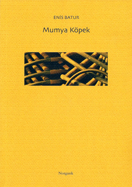 Mumya Köpek book cover