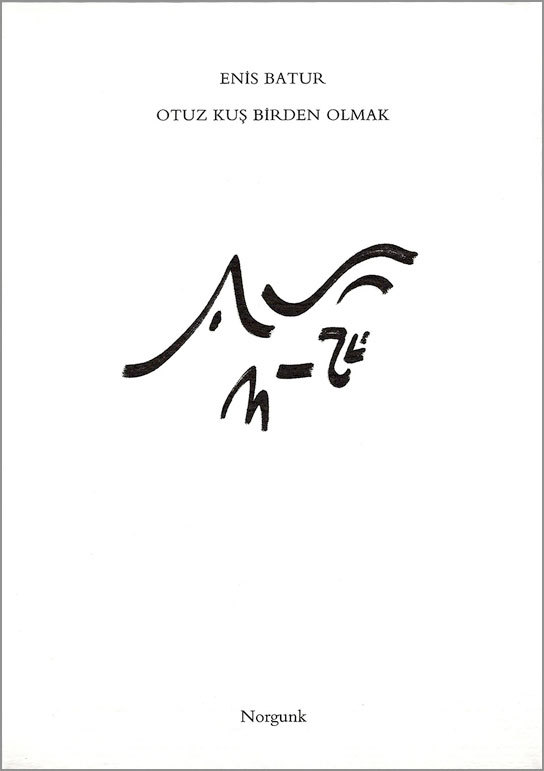 Otuz Kuş Birden Olmak book cover