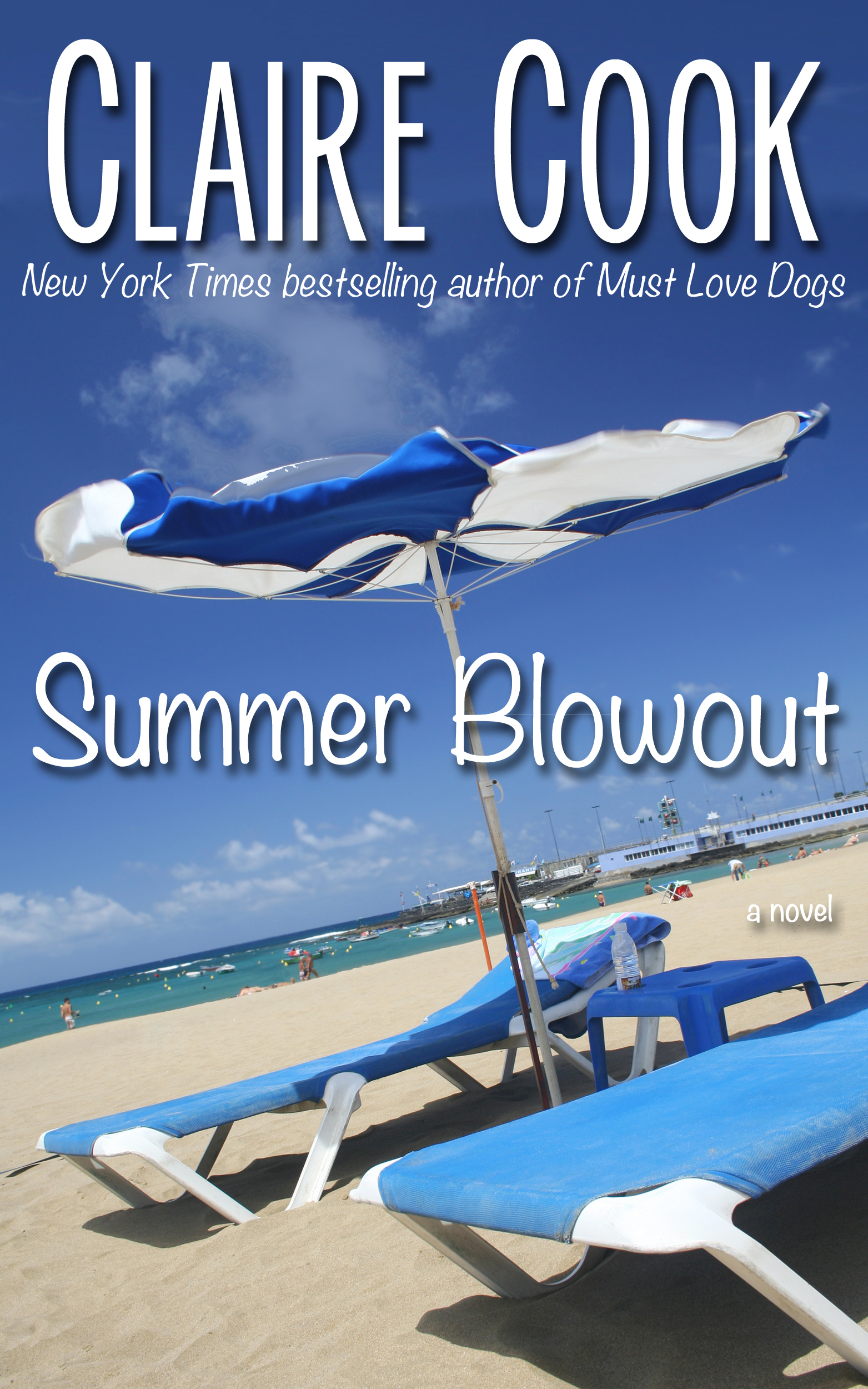 Summer Blowout book cover