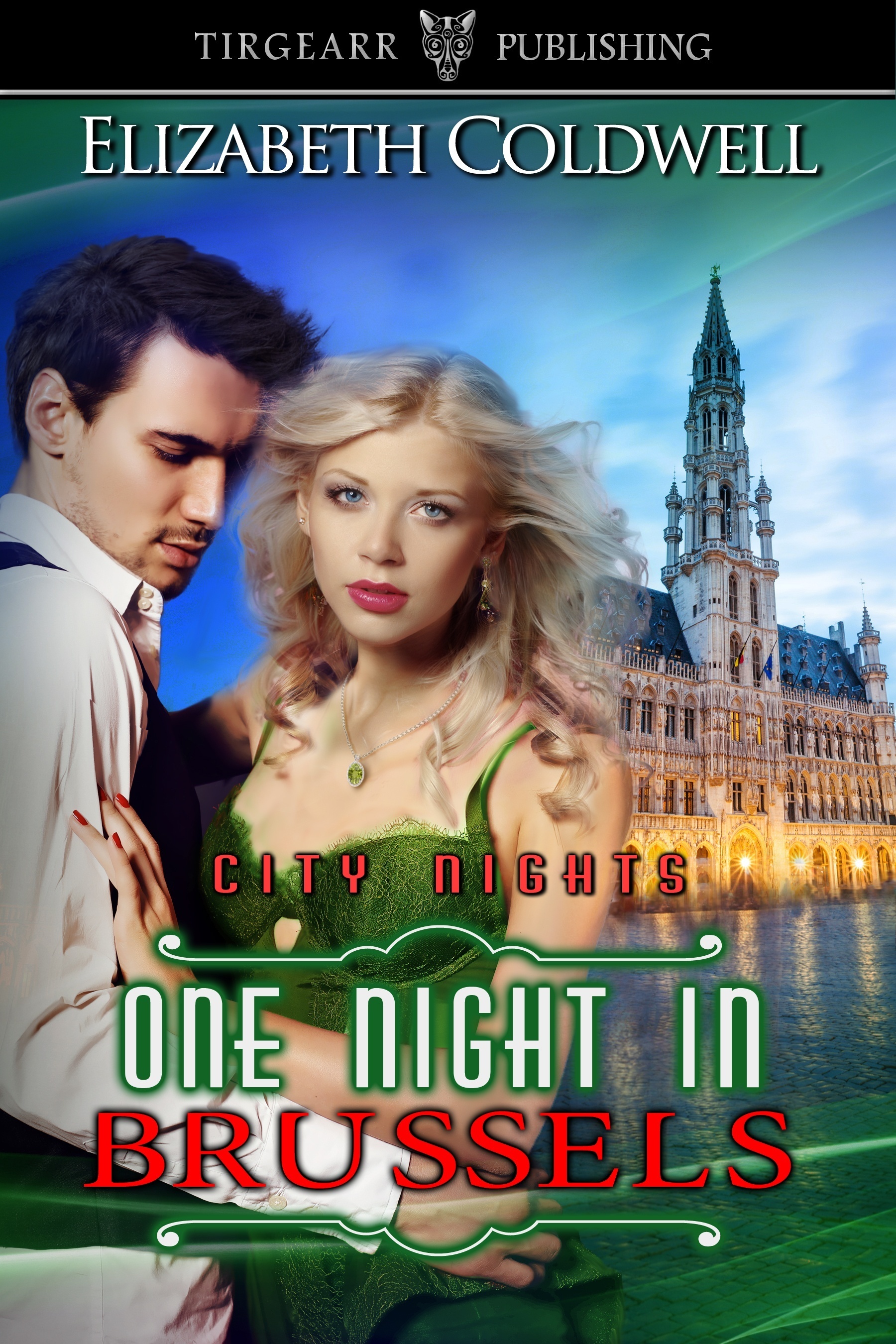One Night in Brussels book cover