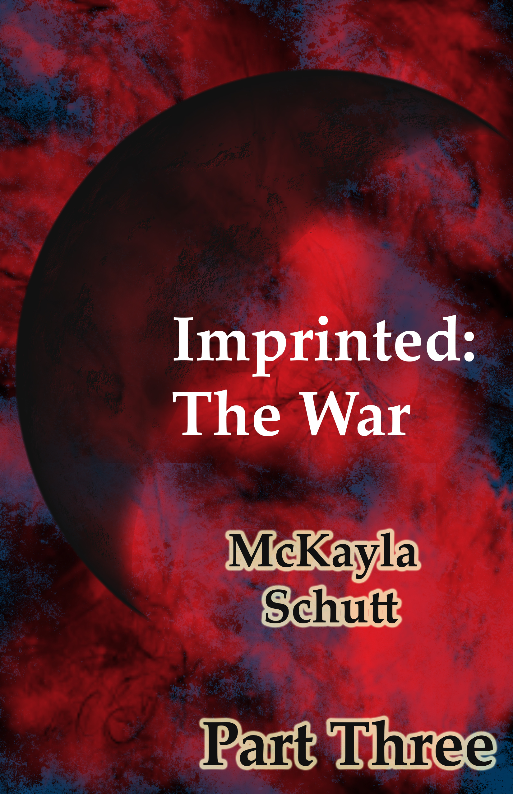 The War book cover