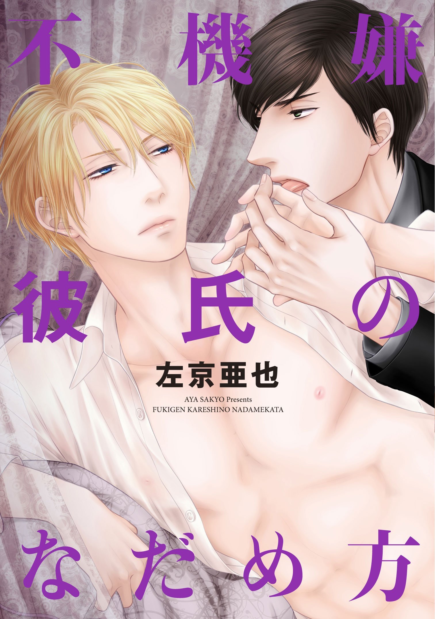 不機嫌彼氏のなだめ方 [Fukigen Kareshi no Nadamekata]