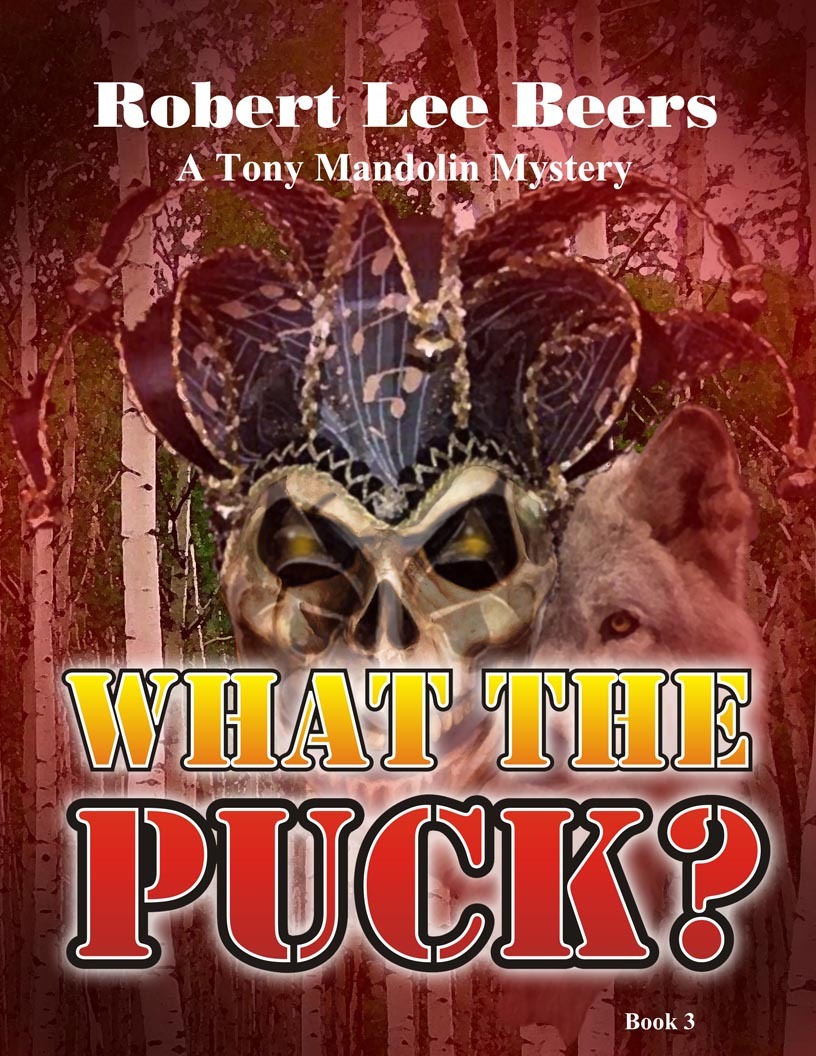 What the Puck? book cover