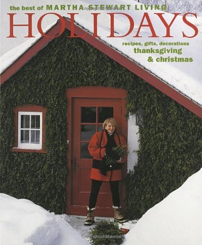 Holidays book cover