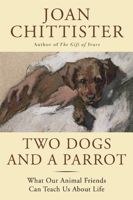 Two Dogs and a Parrot book cover