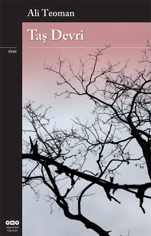 Taş Devri book cover