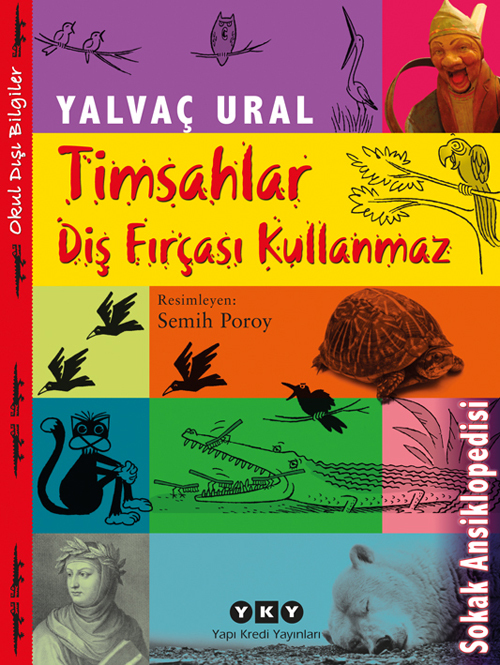 Timsahlar Diş Fırçası Kullanmaz book cover