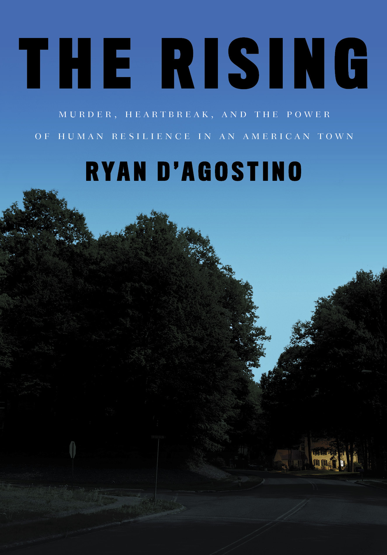 The Rising: Murder, Heartbreak, and the Power of Human Resilience in an American Town
