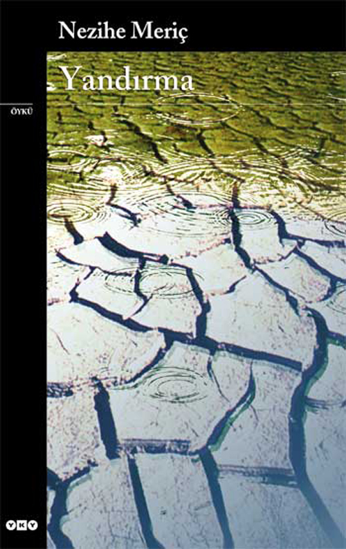 Yandırma book cover