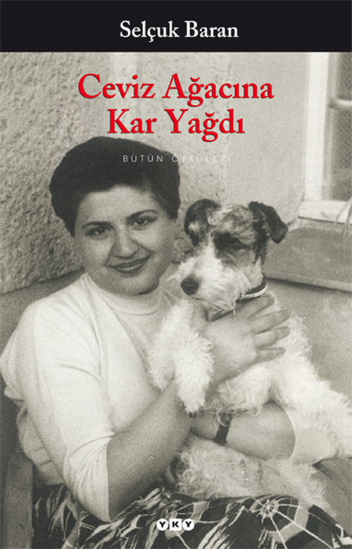 Ceviz Ağacına Kar Yağdı book cover