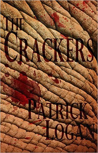 Insatiable book cover 2