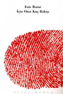 Enis Batur İçin Otuz Kuş Bakışı book cover
