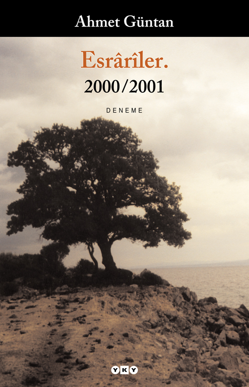 Esrârîler. book cover