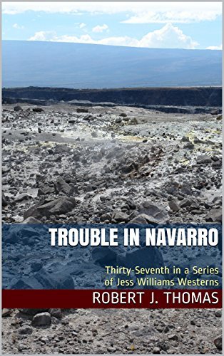 Trouble in Navarro book cover