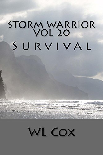 Storm Warrior Vol 20 book cover