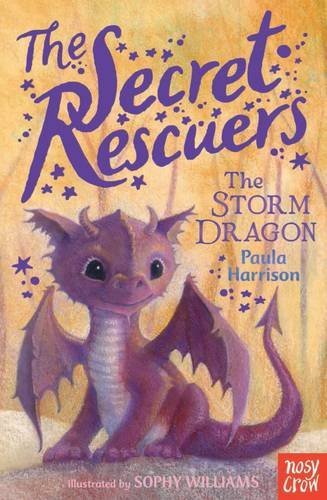 The Storm Dragon book cover