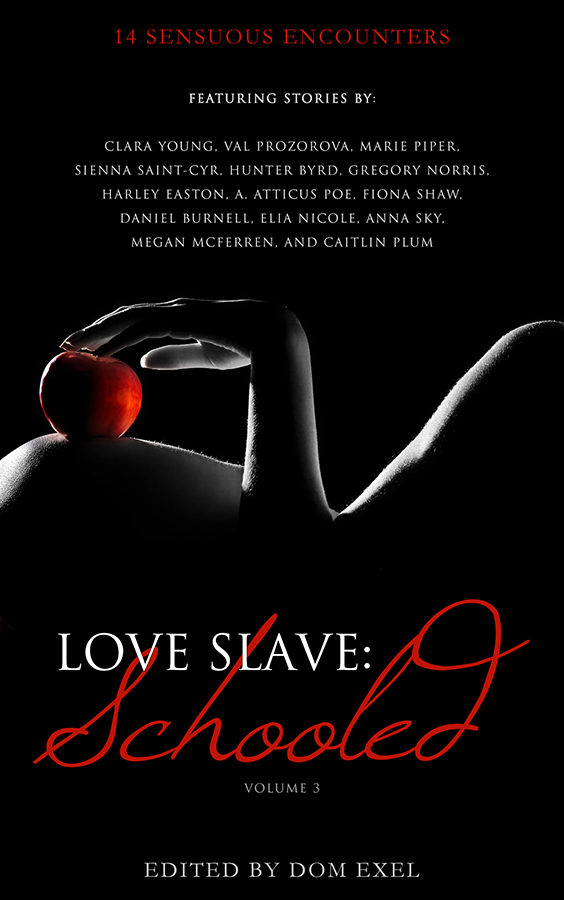 Love Slave book cover 2