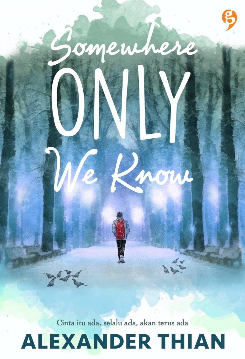 Somewhere Only We Know book cover