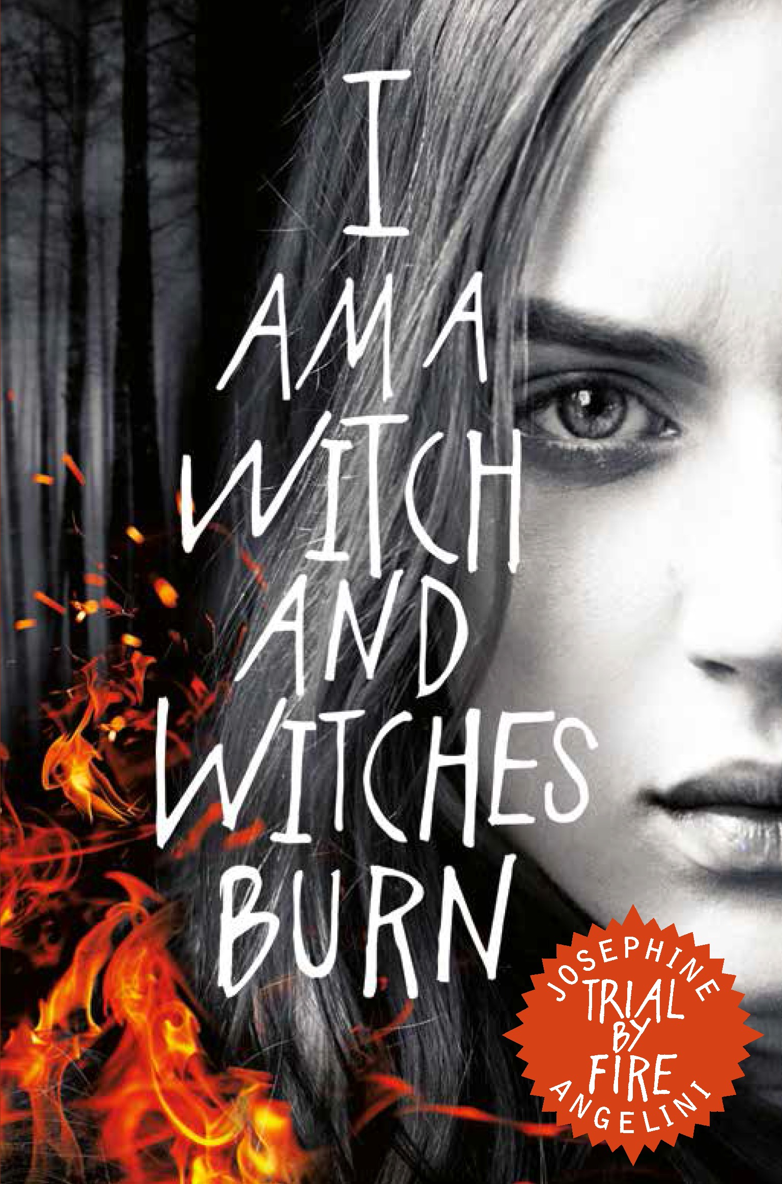 Trial by Fire (Worldwalker, #1)
