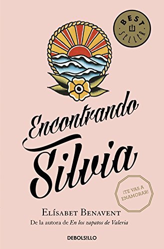 Encontrando a Silvia book cover