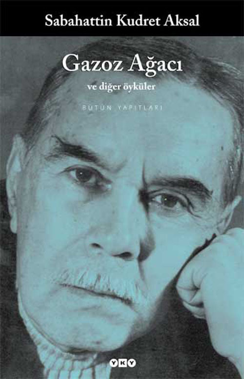 Gazoz Ağacı ve Diğer Öyküler book cover