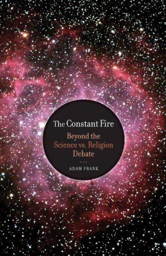 The Constant Fire book cover