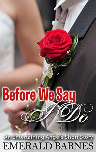 Before We Say I Do book cover