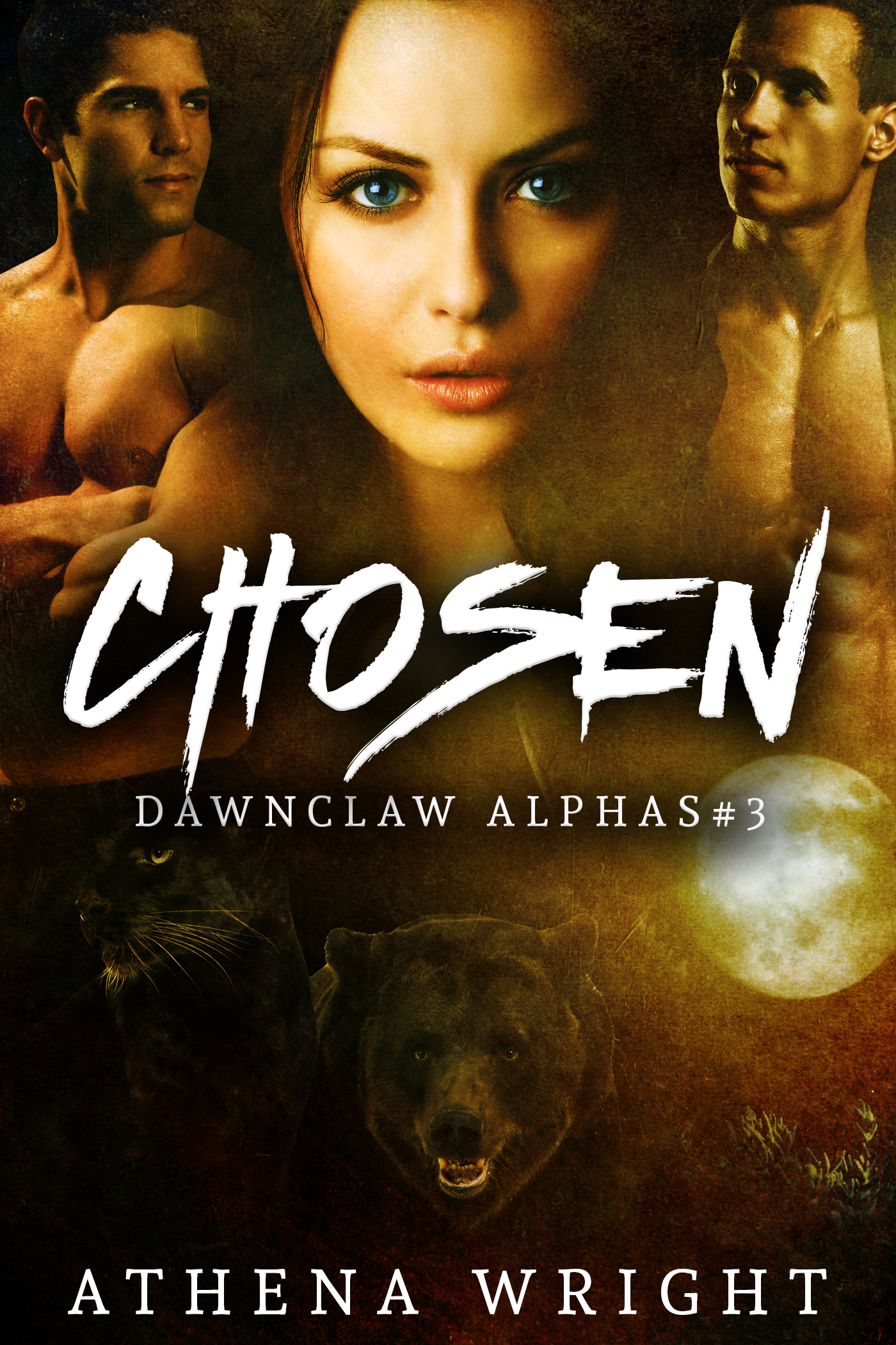 Dawnclaw Alphas book cover 3