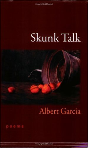 Skunk Talk book cover