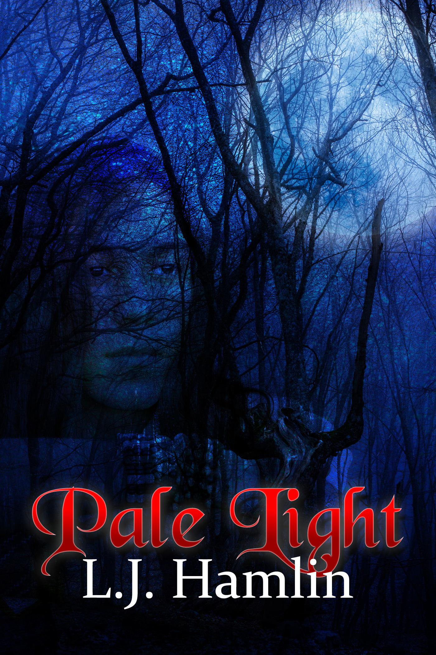 Pale Light book cover