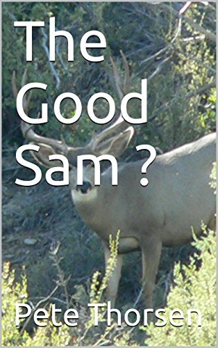 The Good Sam ?