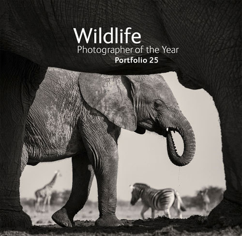 Wildlife Photographer of the Year book cover