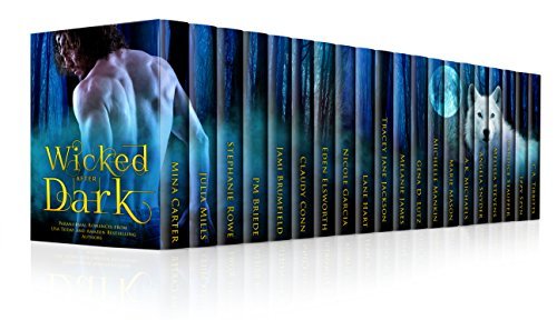 Wicked After Dark book cover