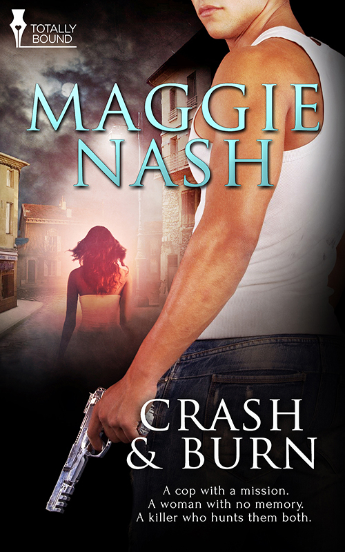 Crash and Burn by Maggie Nash Goodreads