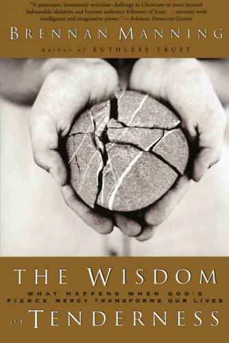 The Wisdom of Tenderness book cover