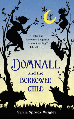 Domnall and the Borrowed Child book cover