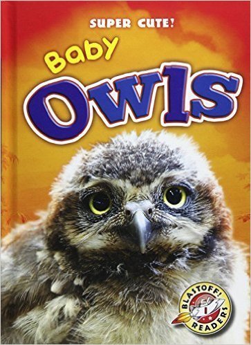Baby Owls book cover