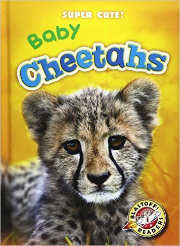 Baby Cheetahs book cover