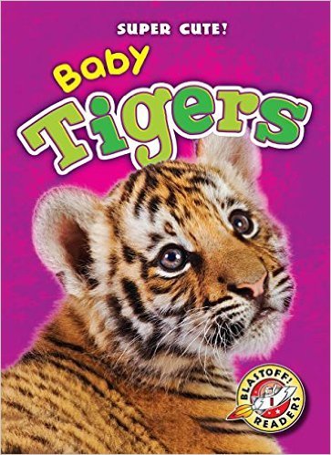 Baby Tigers book cover