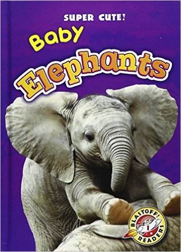 Baby Elephants book cover