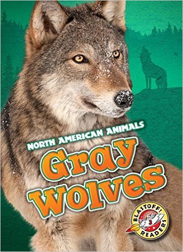 Gray Wolves book cover