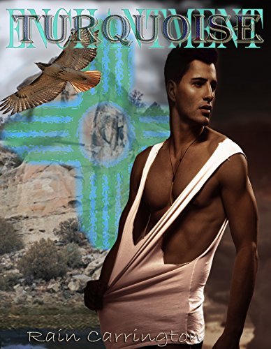 Turquoise book cover