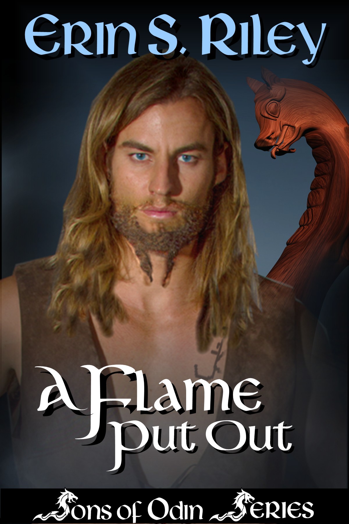 Sons of Odin book cover 2