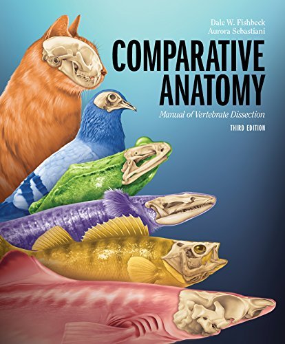 Comparative Anatomy: Manual of Vertebrate Dissection by Dale