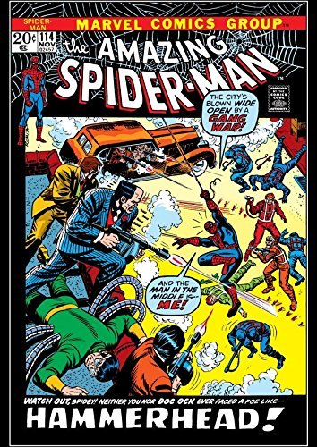 Amazing Spider-Man (1963-1998) #114