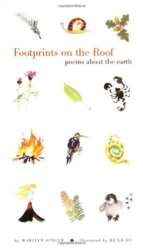 Footprints on the Roof book cover
