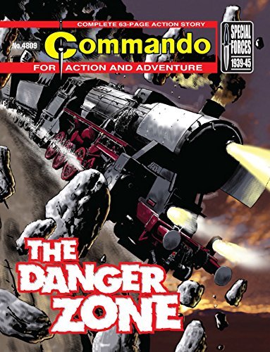 Commando #4809 book cover