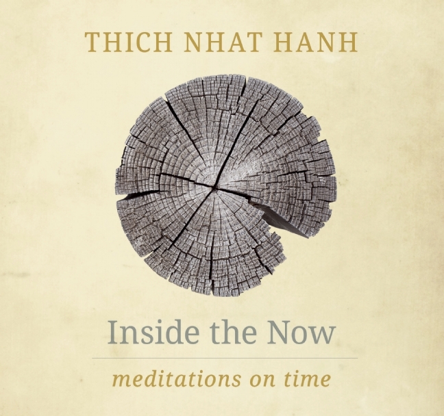 Inside the Now book cover