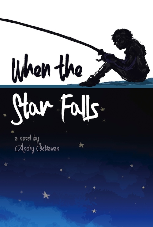 When The Star Falls book cover